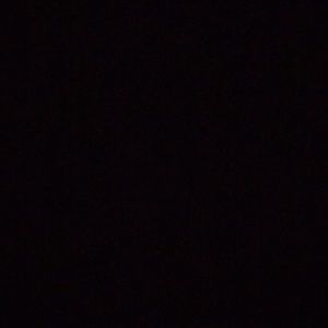 Meet your Posher, Gavin